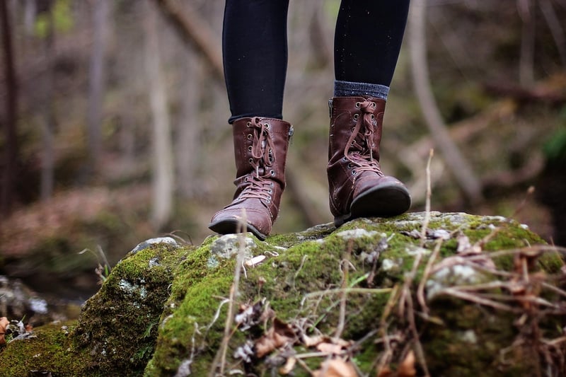 Forest Trekking