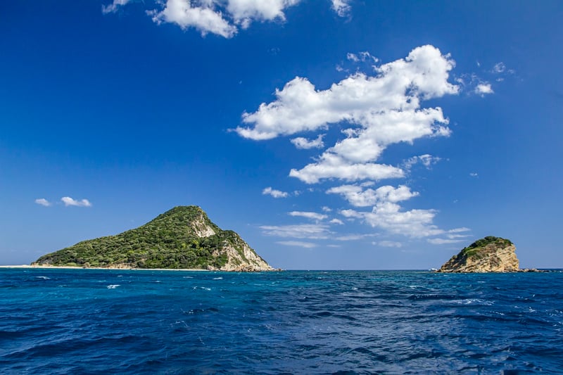 Snorkeling Trips